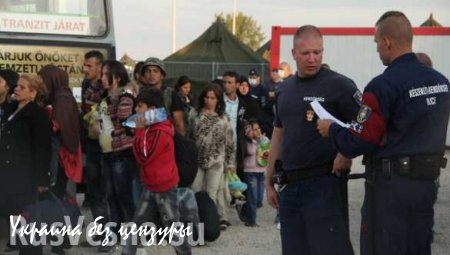 В Венгрии арестованы 367 мигрантов