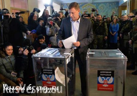 Местные выборы в ДНР пройдут в несколько этапов и завершатся в 2016 году