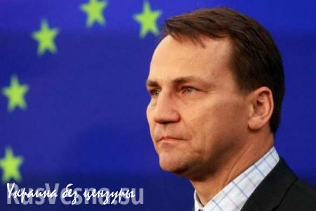 ЕС прекратит прием беженцев из Украины, — Сикорский