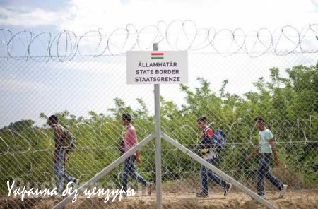 Сербские полицейские оттеснили мигрантов от границы
