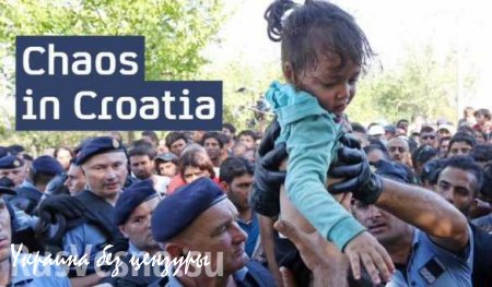 Мигранты прорывают кордоны на границе Хорватии (ФОТО)