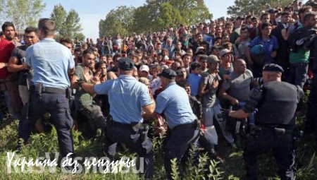 Первая кровь: СМИ сообщают о беженце, погибшем в столкновениях с полицией в Хорватии