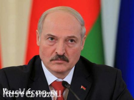 СМИ: ЕС, возможно, приостановит санкции против Лукашенко