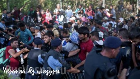 Хорватия приводит армию в боеготовность из-за беженцев