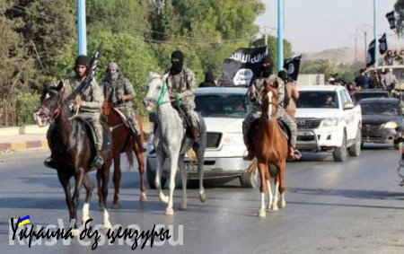 «ИГИЛ» — «Исламские всадники апокалипсиса» (ФОТОРЕПОРТАЖ)