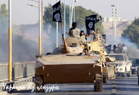 «ИГИЛ» — «Исламские всадники апокалипсиса» (ФОТОРЕПОРТАЖ)