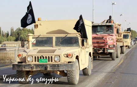 «ИГИЛ» — «Исламские всадники апокалипсиса» (ФОТОРЕПОРТАЖ)