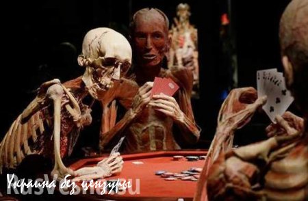 В Петербурге открывается скандальная выставка «Тело человека» (ФОТО, ВИДЕО 18+)