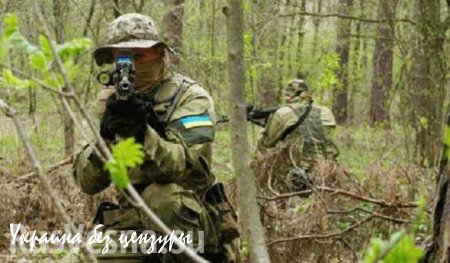 Украинские ДРГ подорвались на минах, оставленных ВСУ, при попытке прорваться на территорию ДНР