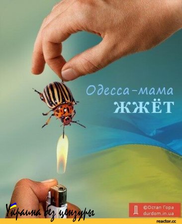 Автором мема «Колорады», оправдывающего убийство людей в Одессе, оказался политтехнолог из России (ФОТО)