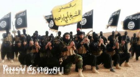 Российские военные должны будут опрокинуть «ИГИЛ» в пустыню — мнение