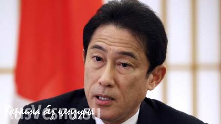 МИД Японии подтвердил визит главы ведомства в Россию 20–22 сентября