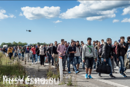 За неделю в Бельгию прибыли 2 тыс. мигрантов