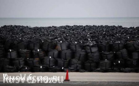 Загрязненная радиацией почва с Фукусимы попала в океан