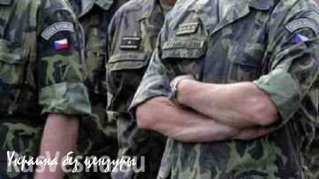 Чехия готова за 48 часов выставить 900 военных для защиты границы