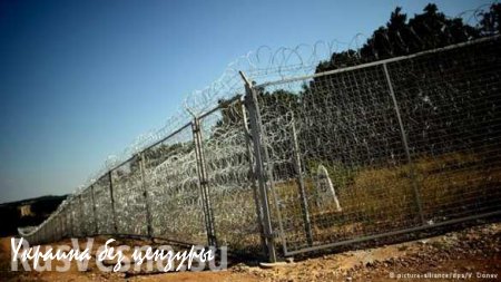 Болгария закрыла границу для нелегальных мигрантов