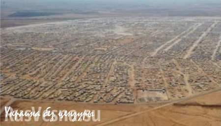 Катастрофическая ситуация с беженцами: кто стоит за спинами арабов и толкает их вперед? (ФОТО+ВИДЕО)