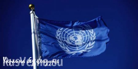 В ООН обсудят возможность ограничения права вето