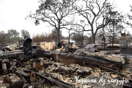 От пожаров в Калифорнии пострадали более тысячи домов