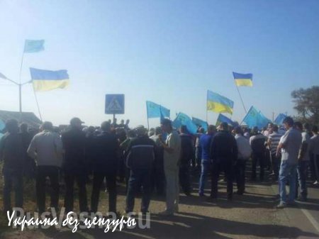 Украинские экстремисты под крымско-татарскими флагами и боевики «Правого Сектора» пытаются заблокировать трассу под Чонгаром, ведущую из Украины в Крым (ФОТО)