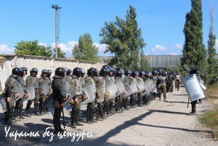 Нацгвардия Украины экстренно готовится разгонять Майдан (ФОТО)