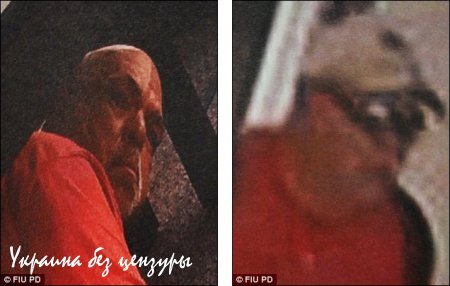 «Их нравы» — 52-летний американский извращенец нюхал ноги студенток в университетской библиотеке