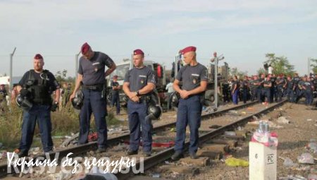 На границу Венгрии и Австрии за выходные прибыли 20 тысяч беженцев (ВИДЕО)