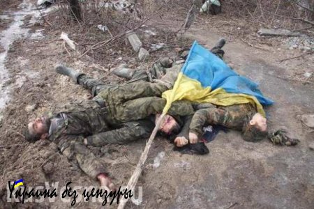Генштаб Украины насчитал менее 2 тыс. погибших за время «АТО»