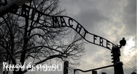 Немке предъявили обвинения в пособничестве убийствам в Освенциме