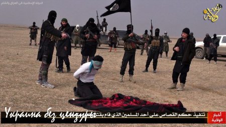 Киев ждет 350 террористов из Сирии, которые координально изменят ситуацию в Крыму