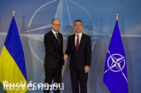 НАТО просто использует Украину, членство в альянсе Киев не получит, — эксперт (ВИДЕО)