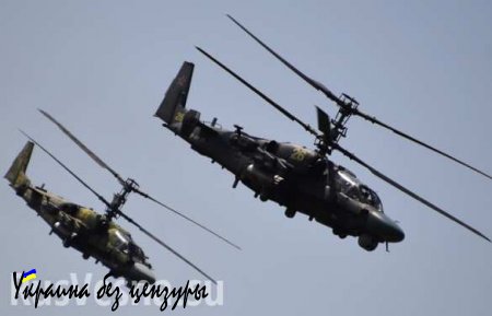 Египет купил у РФ 50 вертолетов Ка-52, — источник