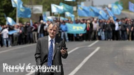 Independent: Крымские татары блокируют полуостров с помощью неонацистов