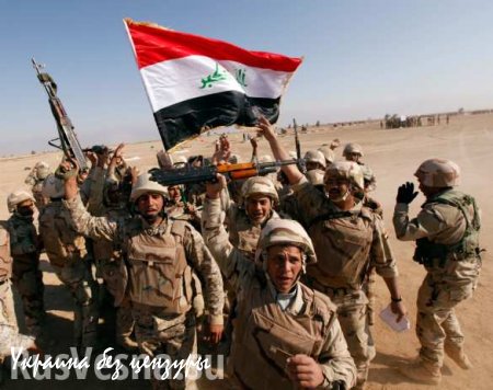 Вооруженные силы Ирака уничтожили 49 террористов ИГИЛ