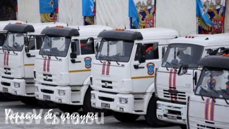 39-я гуманитарная колонна МЧС РФ прибыла на Донбасс