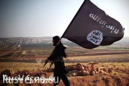 Новая коалиция против ИГИЛ может быть создана под видом старой