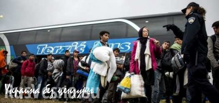 Ежедневно в Европу прибывают 8 тысяч беженцев — ООН