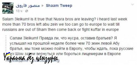 Паника в рядах сирийских боевиков. Новые факты и версии