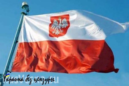 Дипломатическая война: Польша вызвала посла России после его высказываний о Второй мировой войне