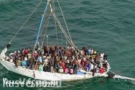17 нелегальных мигрантов утонули в турецких территориальных водах