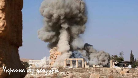 Отмороженные звери: чего лишили боевики ИГИЛ цивилизованный мир Отмороженные звери: чего лишили боевики ИГИЛ цивилизованный мир