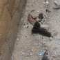 Боевики гордятся именем «террорист» — эксклюзивный фото и текстовый репортаж «Русской Весны» из деревень Эль-Бахса и Фуру (Сирия)