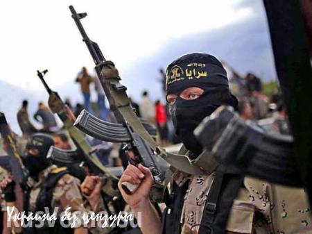ИГИЛ готовит к бою «Стингеры» и «Шилки»: что террористы могут противопоставить ВКС России