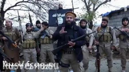 ИГИЛ начало вербовать врачей и учителей на Кавказе (ВИДЕО)