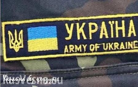 Трое украинских военнослужащих перешли на сторону ополчения ДНР в Тельмановском районе