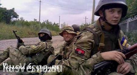 Боевики «Правого сектора», «Азова» и «Донбасса» несмотря на перемирие продолжают воевать против ДНР и ЛНР