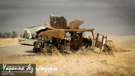 Выжечь этих крыс напалмом! — Курды об авиаударах России по ИГИЛ