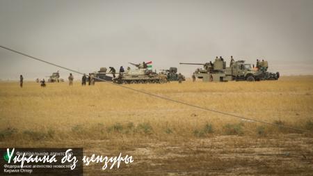 Выжечь этих крыс напалмом! — Курды об авиаударах России по ИГИЛ