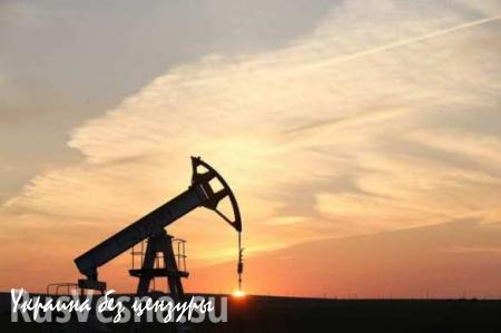 Россия поставила новый рекорд по добыче нефти