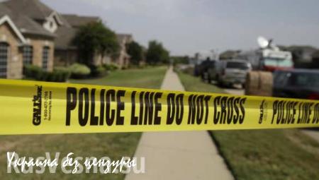 Пятиклассник в США застрелил 8-летнюю соседку из-за щенка